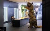 Dino-Quiz