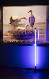 Bar der toten Tiere 2024 