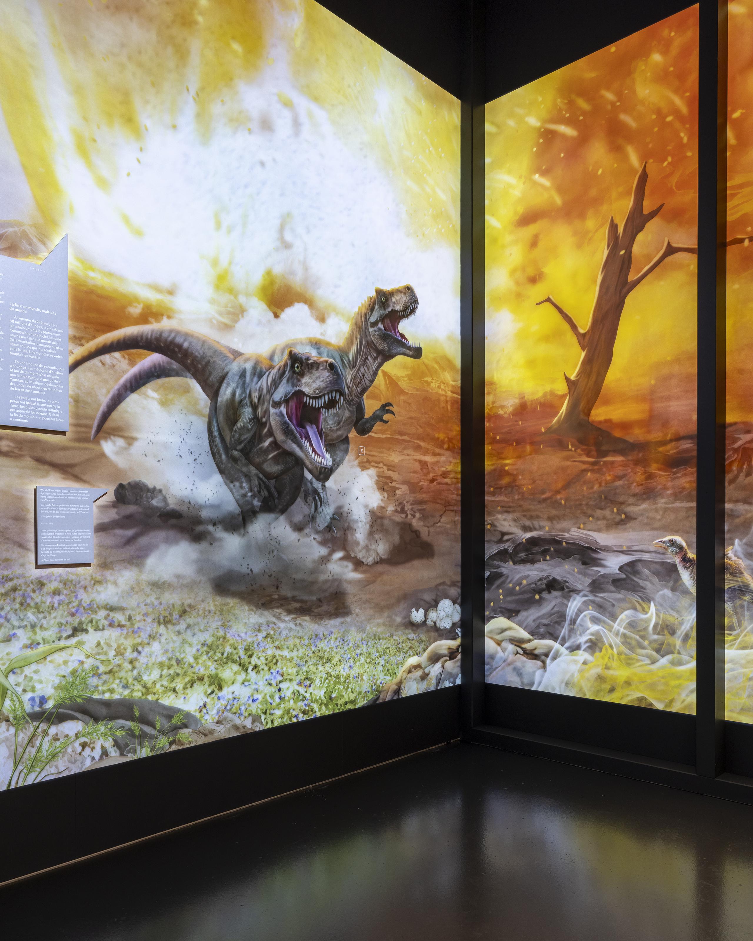 Ausstellungsansicht MEK